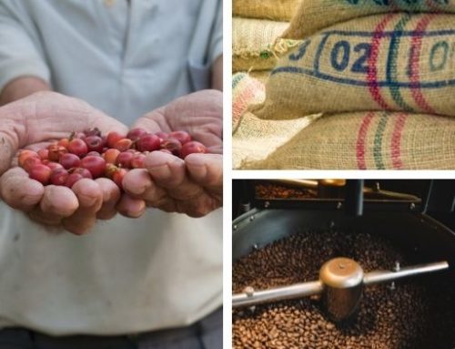 The Coffee Value Chain