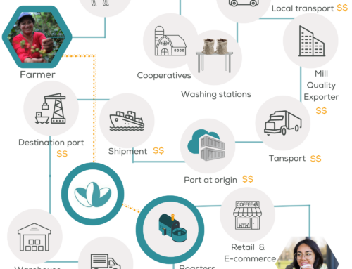 Transparency in the Coffee Value Chain