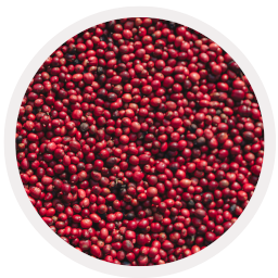 natural coffee beans