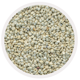 washed coffee beans